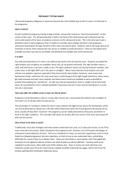 PREGNANCY TESTING MARES Ultrasound pregnancy diagnosis in