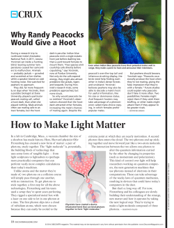 Discover_Randy-Peaco..