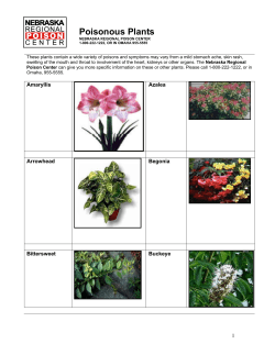 Poisonous Plants - Nebraska Regional Poison Center