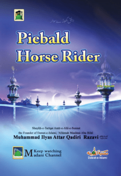 Piebald Horse Rider