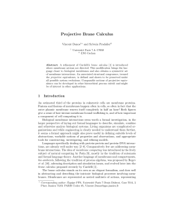 Projective Brane Calculus