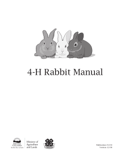4-H Rabbit Manual