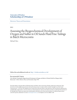 Assessing the Biogeochemical Development of Oxygen and Sulfur