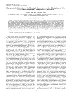 Phylogenetic Relationships of the Monotypic Genus Amphianthus