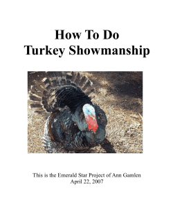 How To Do Turkey Showmanship - Trinity County Cooperative