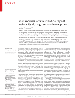 Mechanisms of trinucleotide repeat instability during human