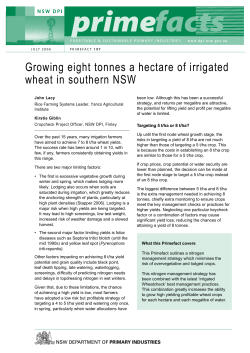 Growing eight tonnes a hectare of irrigated wheat in southern NSW