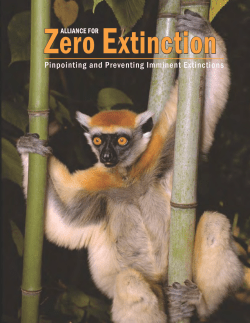 Pinpointing and Preventing Imminent Extinctions