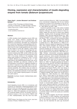 Cloning, expression and characterization of insulin