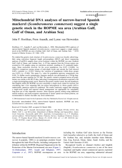 Mitochondrial DNA analyses of narrow