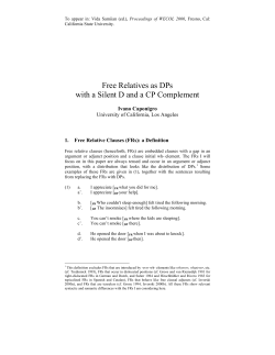 Free Relatives as DPs with a Silent D and a CP Complement