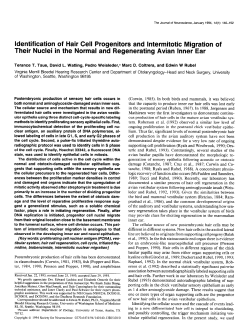 Identification of Hair Cell Progenitors and lntermitotic Migration of