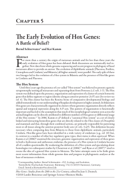 The Early Evolution of Hox Genes