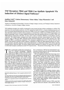 TNF Receptors TR60 and TR80 Can Mediate