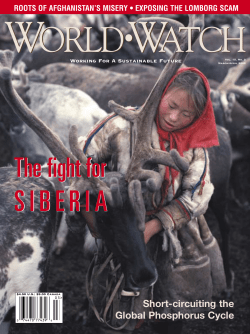 Siberia - Worldwatch Institute