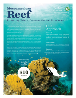 Mesoamerican Reef Protecting Nature