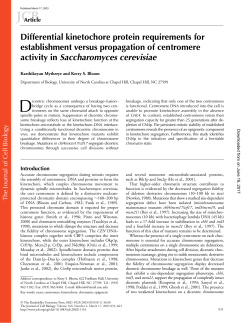 Differential kinetochore protein requirements for establishment
