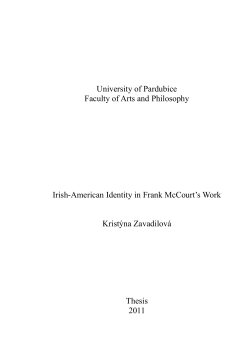 Final Diploma Paper - Univerzita Pardubice