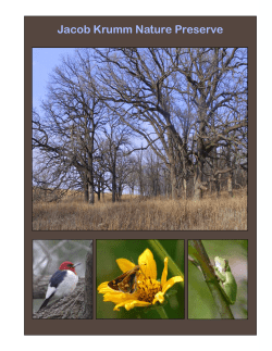 Jacob Krumm Nature Preserve