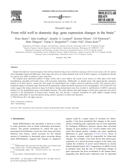 From wild wolf to domestic dog: gene expression