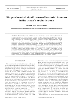 Biogeochemical significance of bacterial biomass in the ocean`s