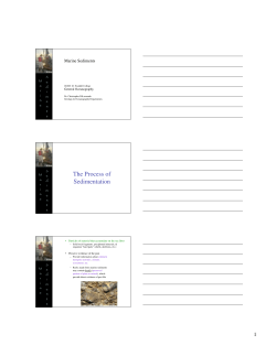 The Process of Sedimentation