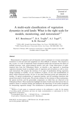 A multi-scale classification of vegetation dynamics in arid