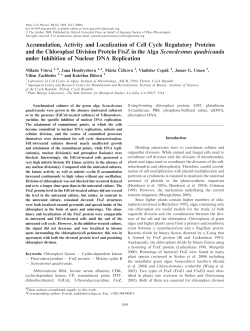 Accumulation, Activity and Localization of Cell