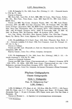 Phylum Ginkgophyta