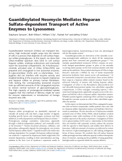 2010 Guanidinoglycosides lysosome Mol Therapy