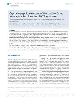 Crystallographic structure of the turbine C