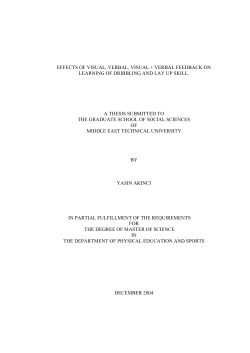 effects of visual, verbal, visual verbal feedback on learning