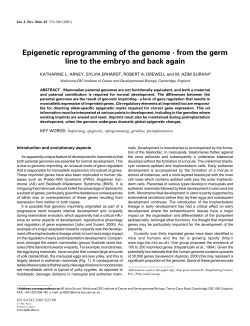 From the germ line to the embryo and back again