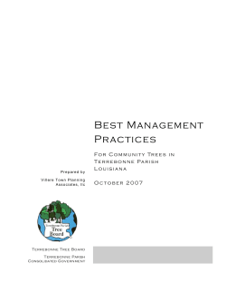 Best Management Practices for Trees