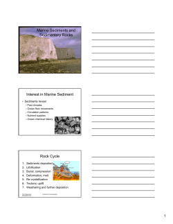 Marine Sediments I
