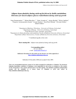 Adipose tissue plasticity during catch-up fat driven by