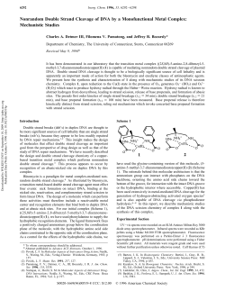Nonrandom Double Strand Cleavage of DNA