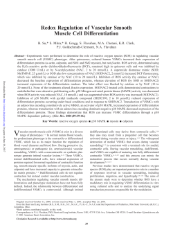 Redox Regulation of Vascular Smooth Muscle Cell Differentiation