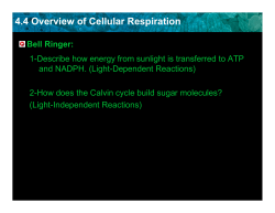 4.4 Overview of Cellular Respiration
