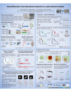Neurofilaments: from disordered subunits to a well ordered complex
