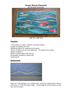 Ocean Waves Placemat