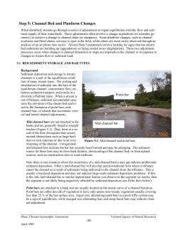 Step 5: Planform Changes and Aggradation/Degradation