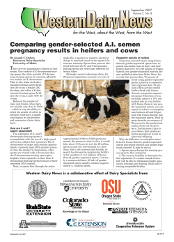 Comparing gender-selected AI semen pregnancy results in