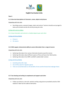 English Curriculum Links