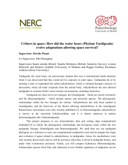 Critters in space: How did the water bears (Phylum Tardigrada