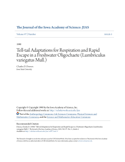 Tell-tail Adaptations for Respiration and Rapid Escape in a