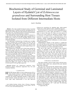 Biochemical Study of Germinal and Laminated Layers of