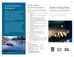 Guide to the Kings River downstream of Pine Flat Dam