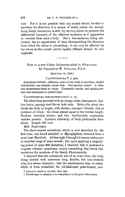 Note on a new Ciliate Infusorian allied to Pleuronema.