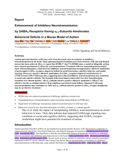 Enhancement of Inhibitory Neurotransmission by